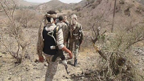 الضالع.. الجيش يحرر مناطق بالأزارق ويقصف مواقع المليشيا في&nbsp;الفاخر